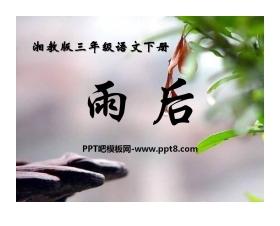 《雨后》PPT课件11