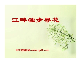 《江畔独步寻花》PPT课件6