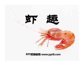 《虾趣》PPT课件