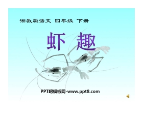 《虾趣》PPT课件2