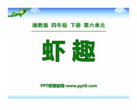 《虾趣》PPT课件4