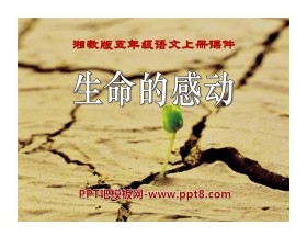 《生命的感动》PPT课件