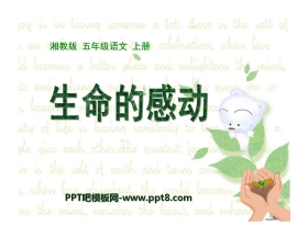 《生命的感动》PPT课件2