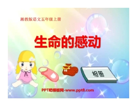 《生命的感动》PPT课件3