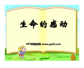 《生命的感动》PPT课件4