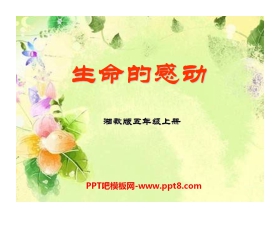 《生命的感动》PPT课件5