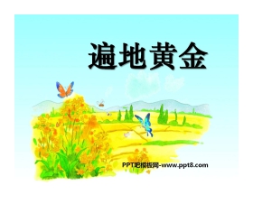 《遍地黄金》PPT课件2