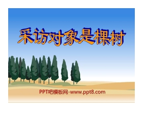 《采访对象是棵树》PPT课件