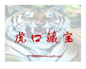 《虎口藏宝》PPT课件