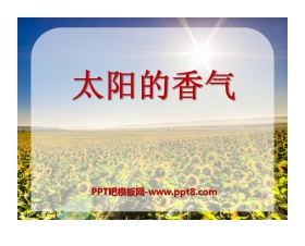 《太阳的香气》PPT课件