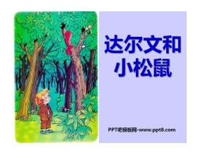 《达尔文和小松鼠》PPT课件3