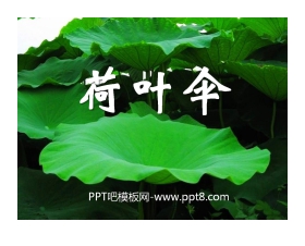 《荷叶伞》PPT课件3