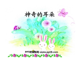 《神奇的耳朵》PPT课件