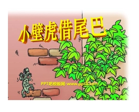 《小壁虎借尾巴》PPT课件13