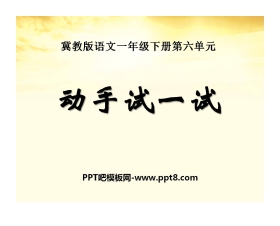 《动手试一试》PPT课件