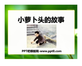 《小萝卜头的故事》PPT课件