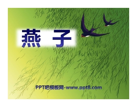 《燕子》PPT课件13