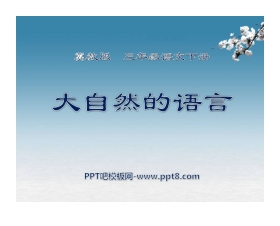 《大自然的语言》PPT课件11