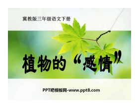 《植物的感情》PPT课件