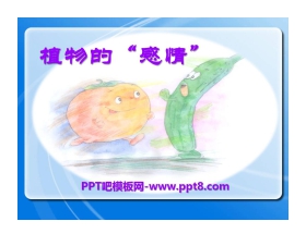 《植物的感情》PPT课件2