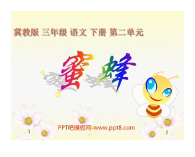 《蜜蜂》PPT课件8