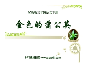 《金色的蒲公英》PPT课件2