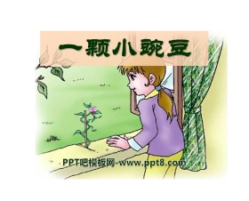 《一颗小碗豆》PPT课件2