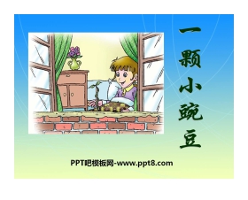 《一颗小碗豆》PPT课件3