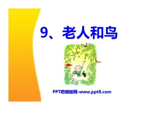 《老人和鸟》PPT课件3