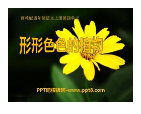 《形形色色的植物》PPT课件