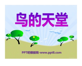 《鸟的天堂》PPT课件6