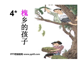 《槐乡的孩子》PPT课件