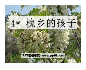 《槐乡的孩子》PPT课件2