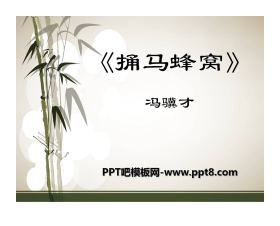 《捅马蜂窝》PPT课件3