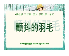 《颤抖的羽毛》PPT课件2