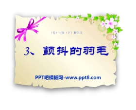 《颤抖的羽毛》PPT课件4