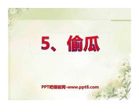 《偷瓜》PPT课件2