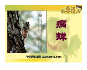 《瘸蝉》PPT课件