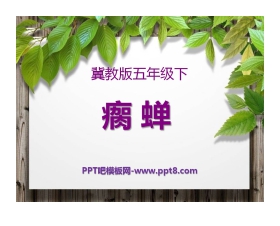 《瘸蝉》PPT课件2