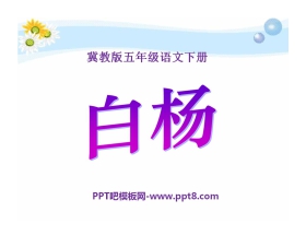 《白杨》PPT课件10