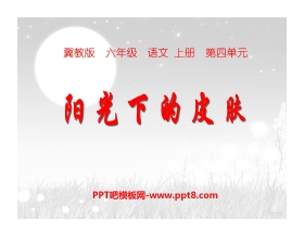 《阳光下的皮肤》PPT课件