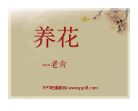 《养花》PPT课件7