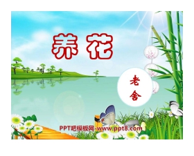 《养花》PPT课件9