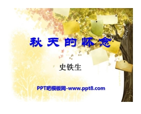 《秋天的怀念》PPT课件6