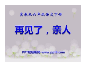 《再见了，亲人》PPT课件10