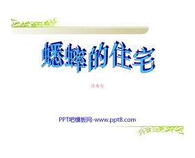 《蟋蟀的住宅》PPT课件9