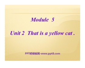 《This is a yellow cat》PPT课件3