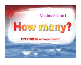 《How many?》PPT课件3