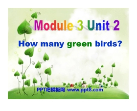 《How many green birds?》PPT课件2