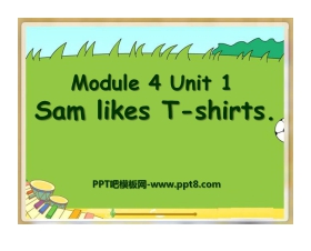 《Sam like T-shirts》PPT课件5